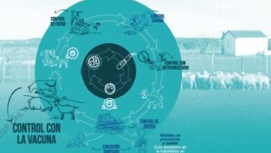 La disponibilidad de la vacuna EG95, abre una nueva perspectiva que podrían acelerar los tiempos para evitar que se sigan enfermando tanto el ganado, como los seres humanos.