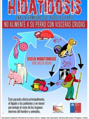 a Afiche Vertical Chile