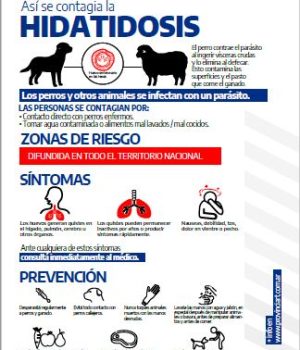 a Buenos Aires afiche